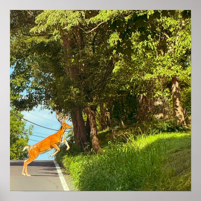 Poster photo Deer Jumping (Devant)