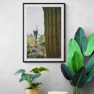 Poster photo Desert Cactus