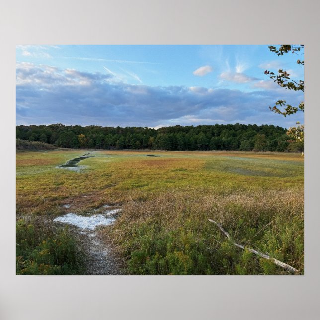 Poster photo du champ d'automne (Devant)
