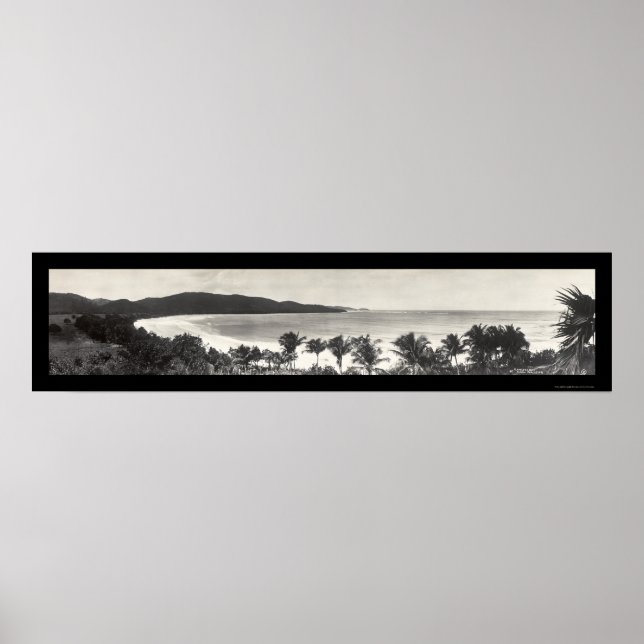 Poster Photo du Flamant rose Porto Rico 1914 (Devant)