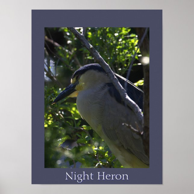 Poster photo du héros de nuit (Devant)