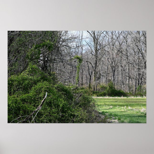 Poster photo du paysage (Devant)