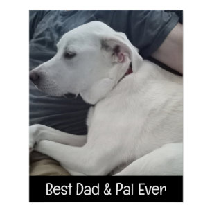 Poster Photo d'un chien mignon avec son meilleur ami