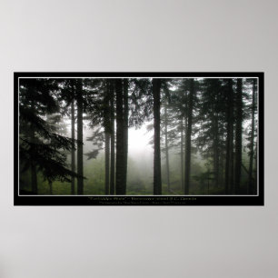 Poster photo Green Misty Forest