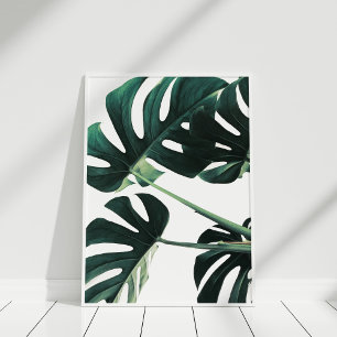 Poster photo Green Monstera