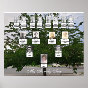 Poster photo Green Summer Family Tree