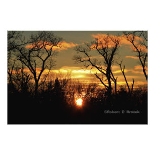 Poster photo Kansas Tree Silhouettes Sunset.