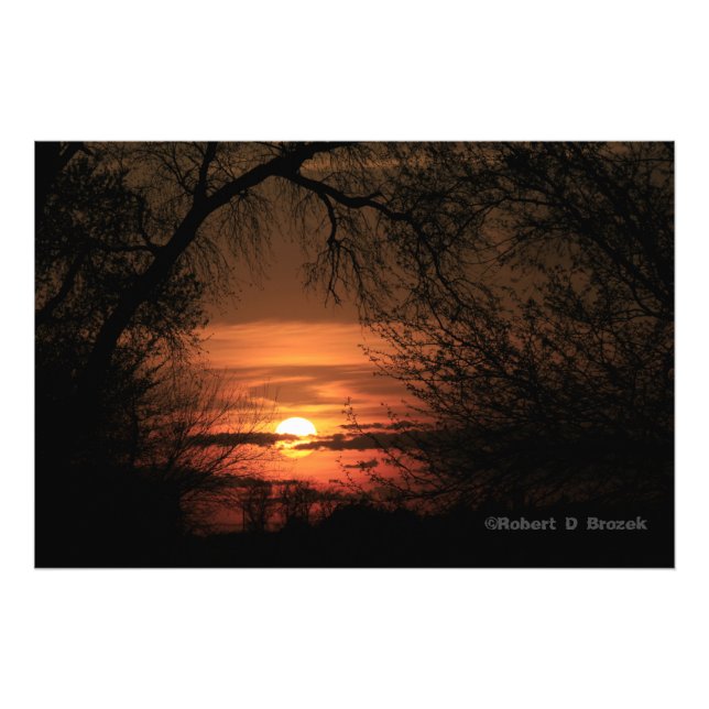 Poster photo Kansas Trees Sunset. (Devant)