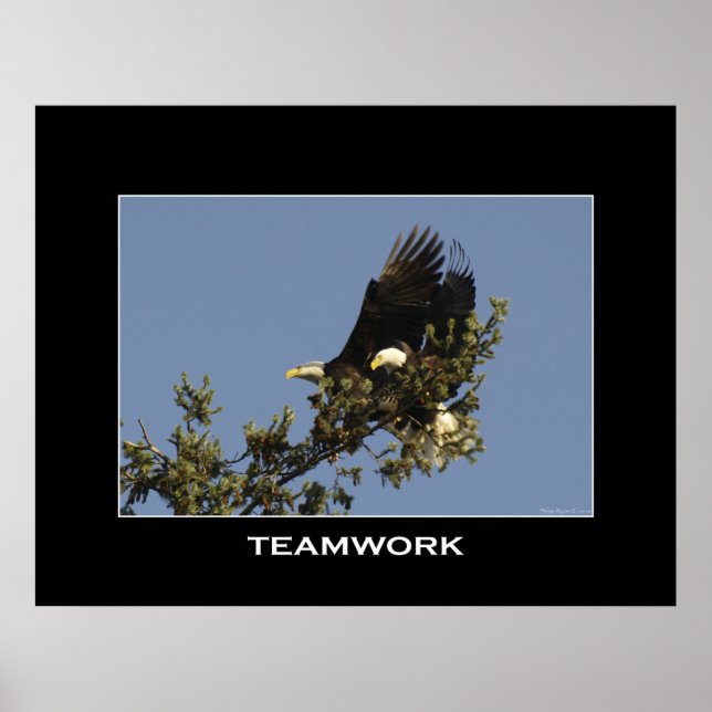 Poster photo MOtivational TEAMWORK (Devant)
