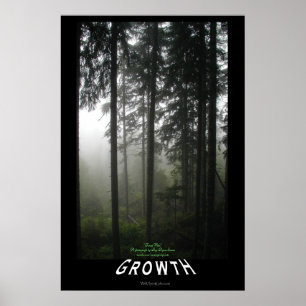 Poster photo Motivationnel "Croissance" de Forêt M