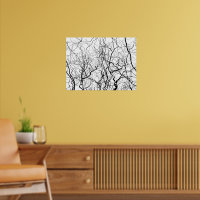 Poster photo noir et blanc Arbre Art