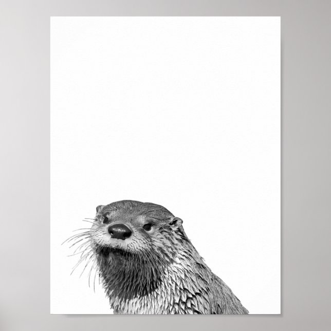 Poster photo Otter Black White Cabine Nursery (Devant)