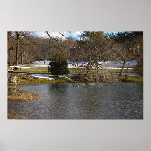 Poster photo Pond (Devant)
