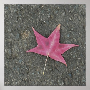 Poster photo Red Leaf