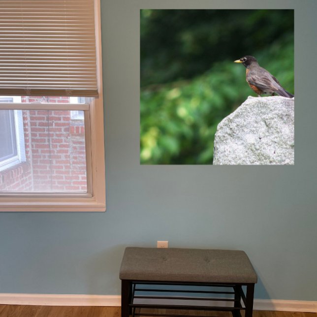 Poster photo Robin Bird (Créateur téléchargé)