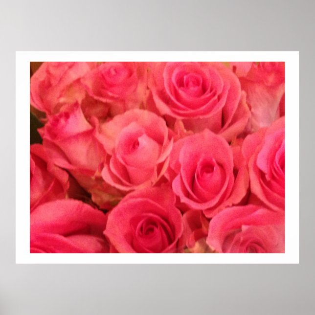 Poster photo Roses Roses roses (Devant)