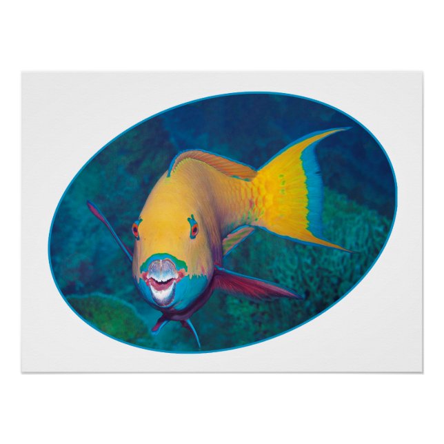 Poster Photo sous-marine de poisson perroquet - Design ph (Devant)