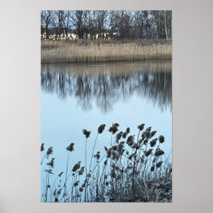 Poster photo Waterscape