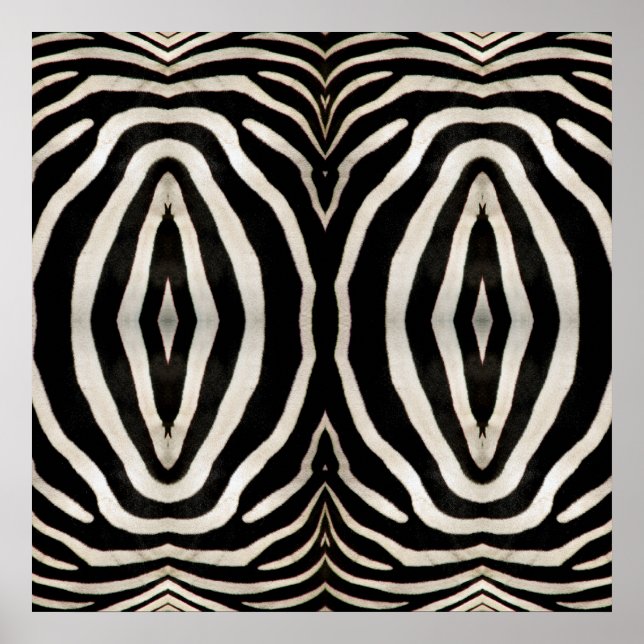 Poster Photograph of a real Zebra's Fur (Devant)