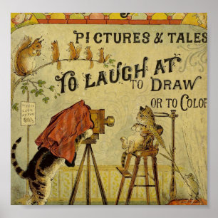 Poster Photographe de chat aux chats