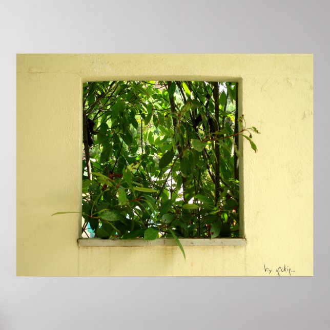 Poster photographie (Devant)