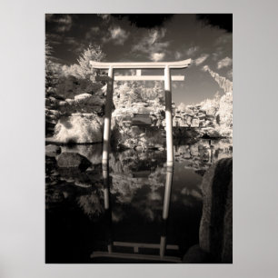 Poster Photographie de jardin infrarouge
