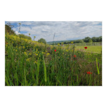 Photographie du bord de la rivière