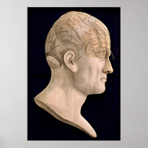 Poster Phréologie 1834