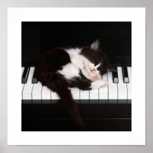 Poster Piano Kitten