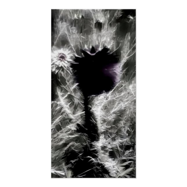 Poster Pick (Devant)