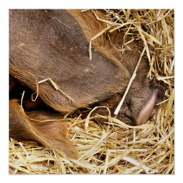 POSTER PIÈCES (Devant)