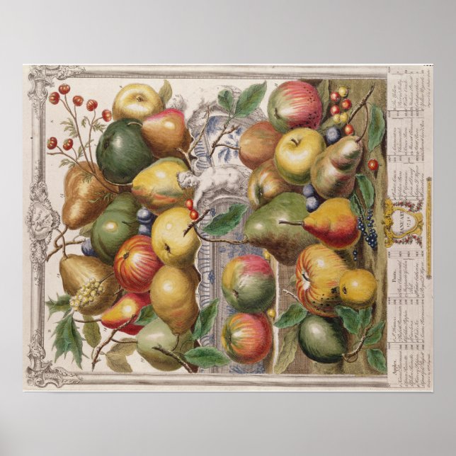 Poster Pieter Casteels, Twelve Months of Fruits"  January (Devant)