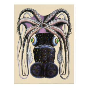 Poster Pieuvre ou calmar géant, Animaux de la vie marine 