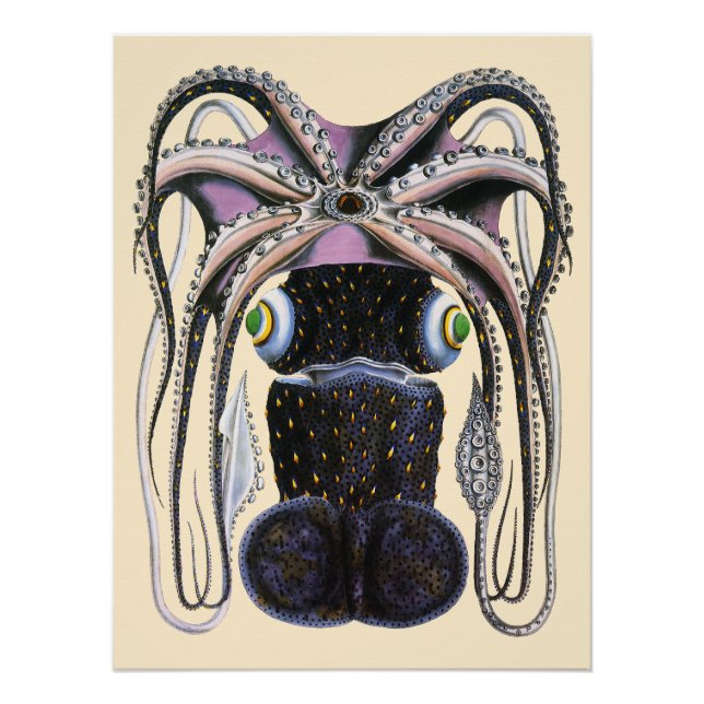 Poster Pieuvre ou calmar géant, Animaux de la vie marine  (Devant)