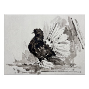 Poster Pigeon à queue indienne Eyeliner Poule