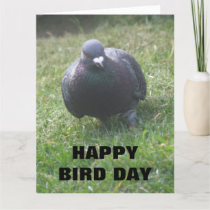 Poster Pigeon Custom Giant Carte d'anniversaire