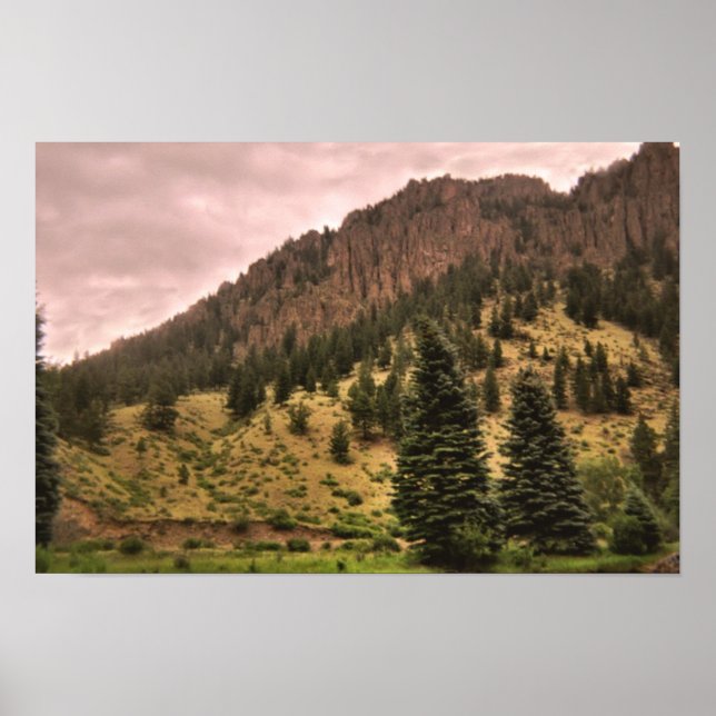 Poster pine tree beauty print (Devant)