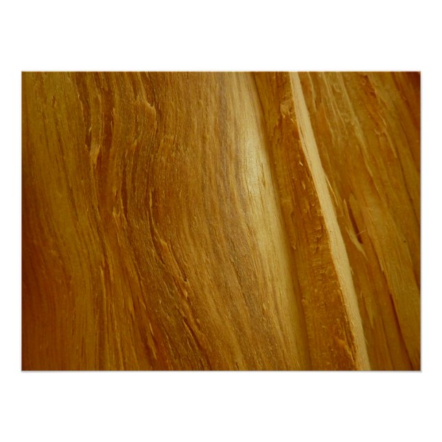 Poster Pine Wood II Faux Texture en bois (Devant)