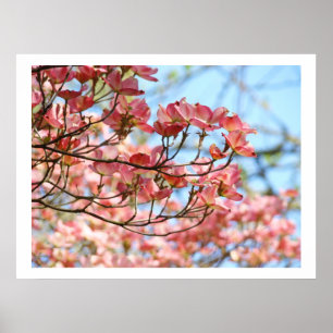 Poster Pink Dogwood Trees Fleurs d'art estampes botanique