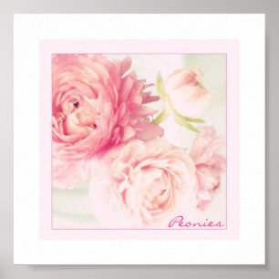 Poster Pink Peonies
