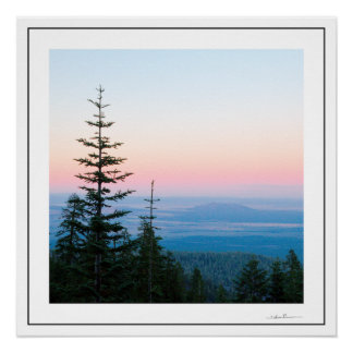 Poster Pins au coucher du soleil par Sidharta