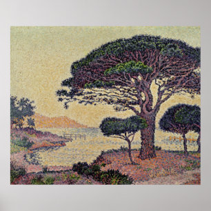 Poster Pins des Parapluies à Caroubiers, 1898