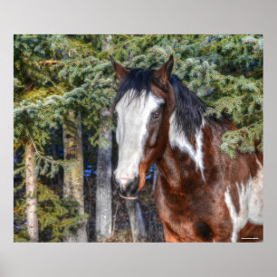 Poster Pinto Peinture Stallion & Arbres À feuillage persi