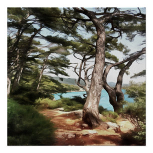 Poster Pinus pinea Pinetree Forest Painting