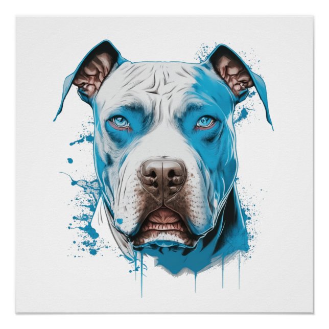 Poster Pitbulbe blanc aux yeux bleus (Devant)
