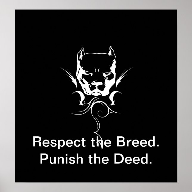 Poster Pitbull. (Devant)