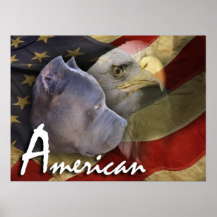 Poster Pitbull américain Terrier Chien, Drapeau, Aigle ch
