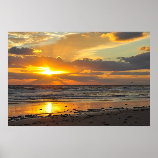 Poster Pittoresque Sunrise de Florida Beach (Devant)