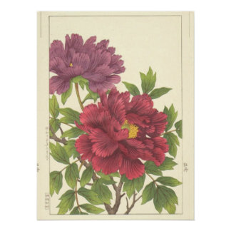 Poster Pivoine de Hodo Nishimura Fleurs Japonaises Beaux-