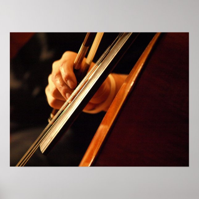 Poster Pizzicato (Devant)